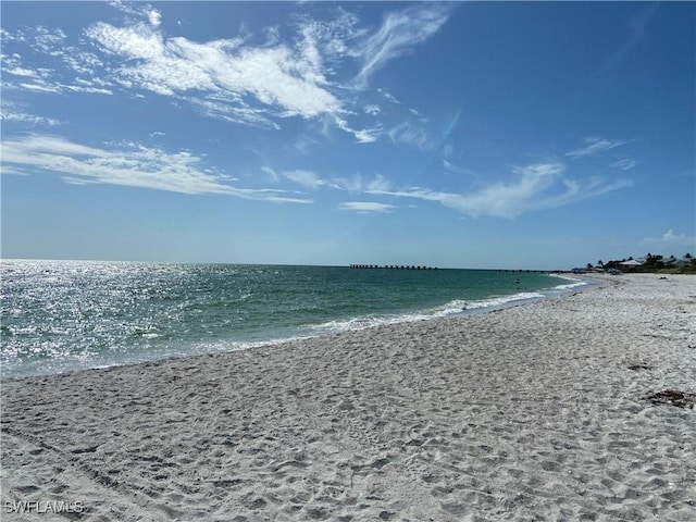 view of water feature featuring a beach view