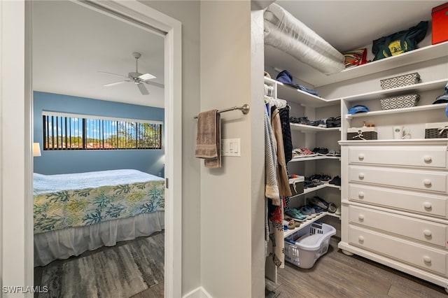 spacious closet featuring hardwood / wood-style floors and ceiling fan