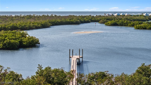 water view with a dock