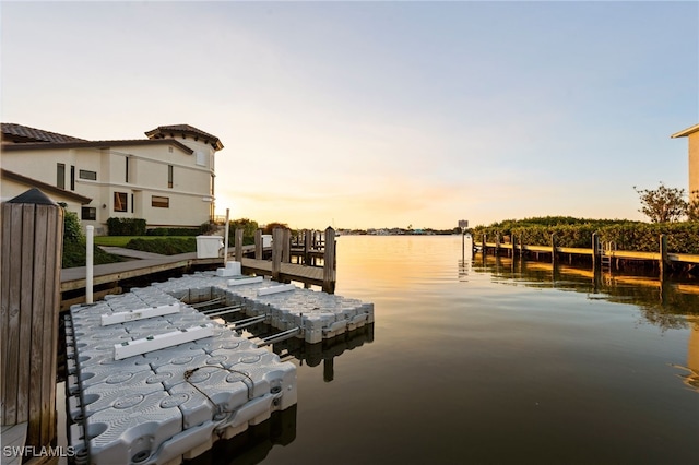 dock area with a water view