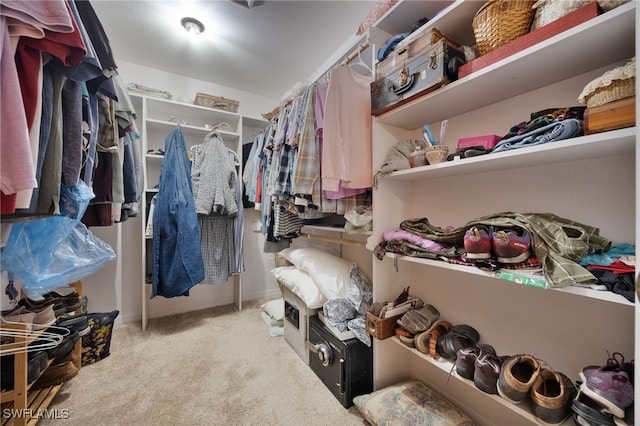 2915 Ortona Locks Rd, Moore Haven, FL 33471 - spacious closet featuring carpet floors