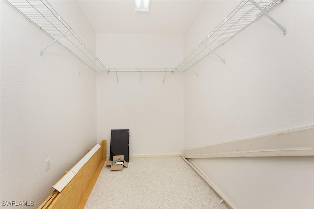 walk in closet featuring carpet flooring