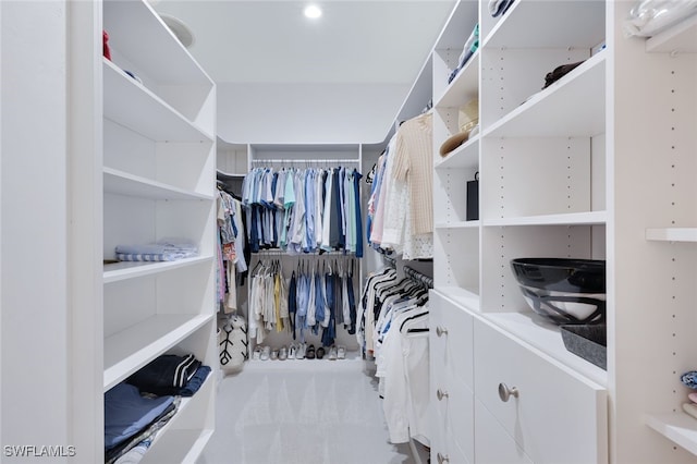 walk in closet with carpet flooring