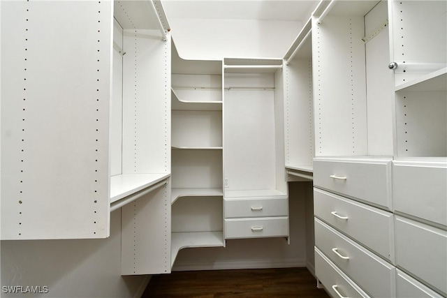 spacious closet with dark hardwood / wood-style flooring