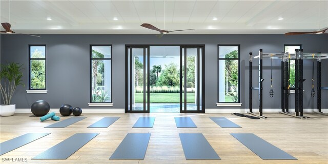 exercise area featuring ceiling fan and light hardwood / wood-style floors