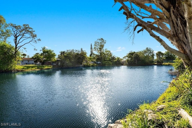 4584 W Alhambra Cir, Naples, FL 34103 - water view