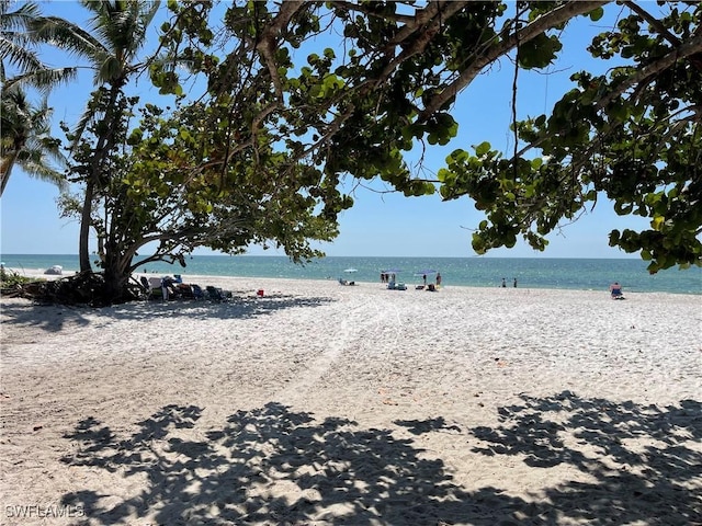 view of water feature featuring a view of the beach