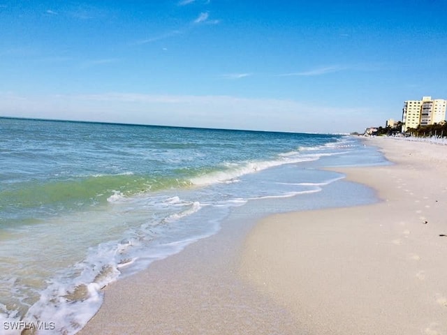 view of water feature with a beach view