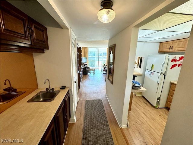 kitchen featuring white refrigerator, light hardwood / wood-style floors, and sink