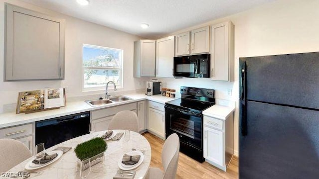 kitchen with black appliances, light wood-type flooring, and sink