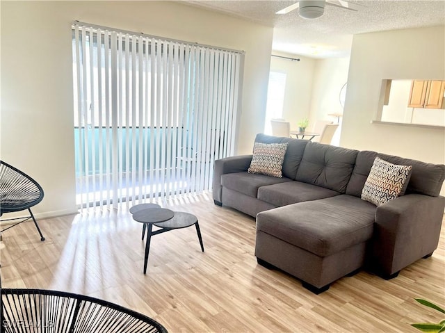 living room with ceiling fan, light wood-type flooring, and a textured ceiling