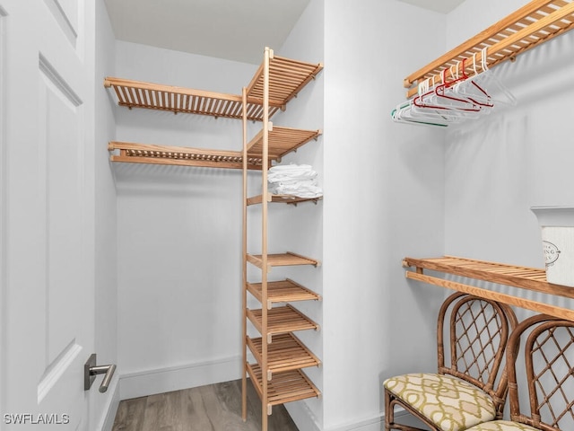 walk in closet featuring hardwood / wood-style flooring