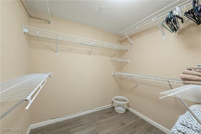 spacious closet with wood-type flooring