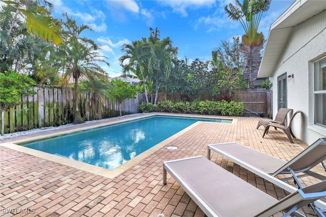 view of pool with a patio area