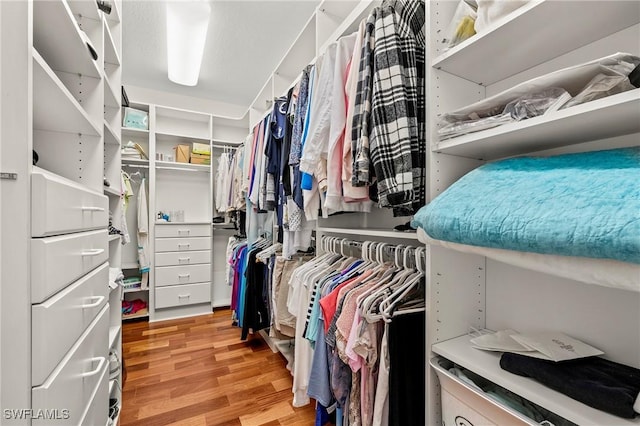 spacious closet with light wood-type flooring