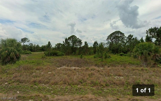 1248 Spruce St E, Lehigh Acres, FL 33974
