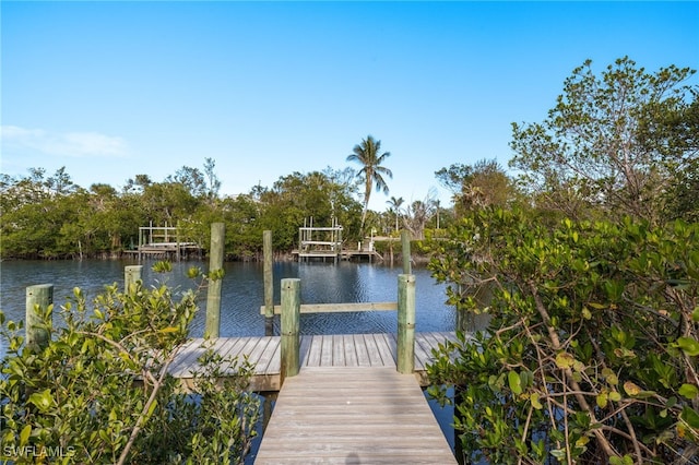 dock area with a water view