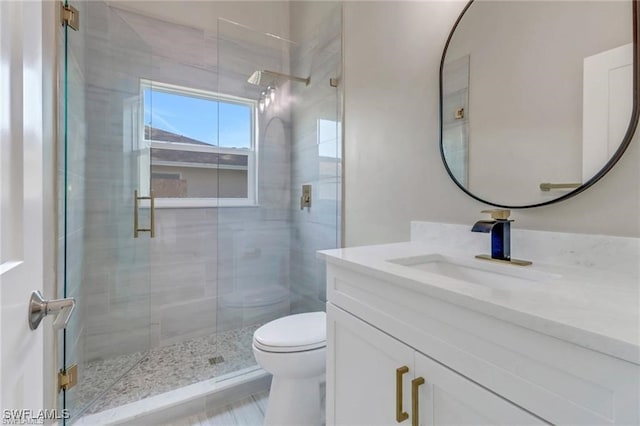 bathroom featuring toilet, vanity, and walk in shower