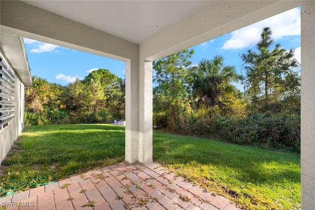 view of yard featuring a patio