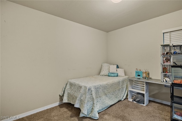 bedroom with carpet