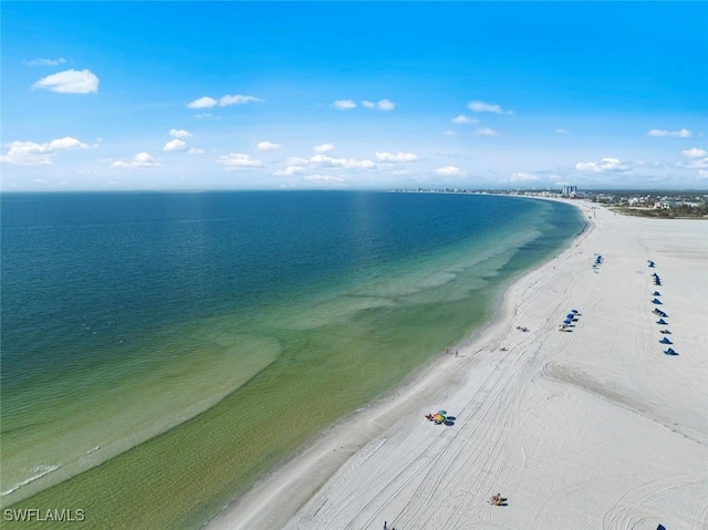 property view of water featuring a beach view