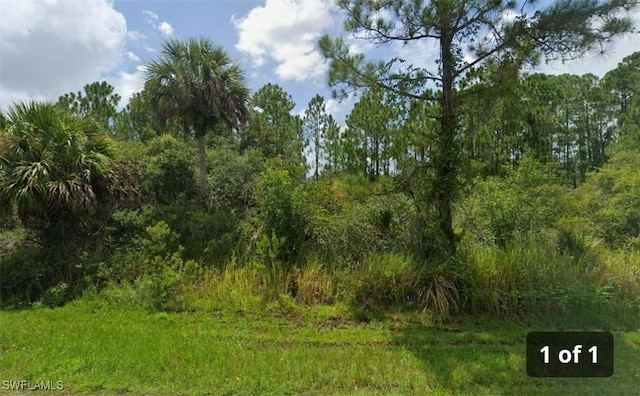 201 Hutchins St, Port Charlotte FL, 33953 land for sale