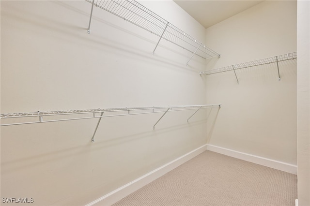 walk in closet featuring carpet