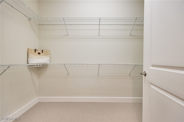 walk in closet featuring carpet