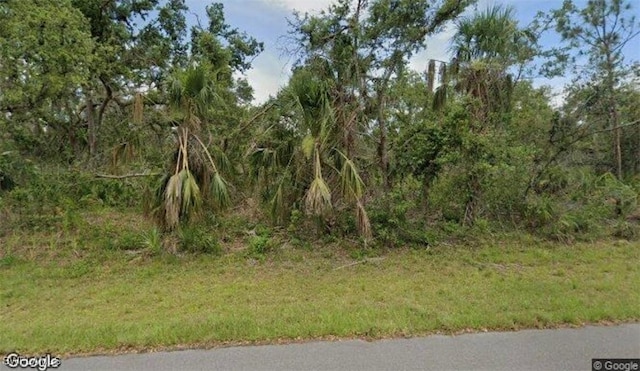 14471 Black Ave, Port Charlotte FL, 33953 land for sale