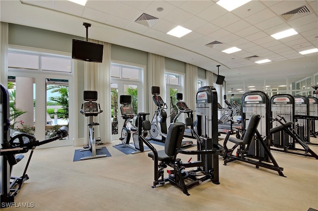 gym with light colored carpet and a drop ceiling