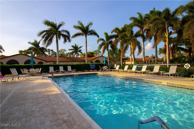 view of pool featuring a patio