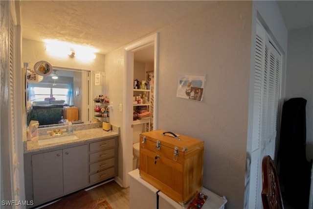 bathroom featuring hardwood / wood-style floors, vanity, toilet, and a textured ceiling