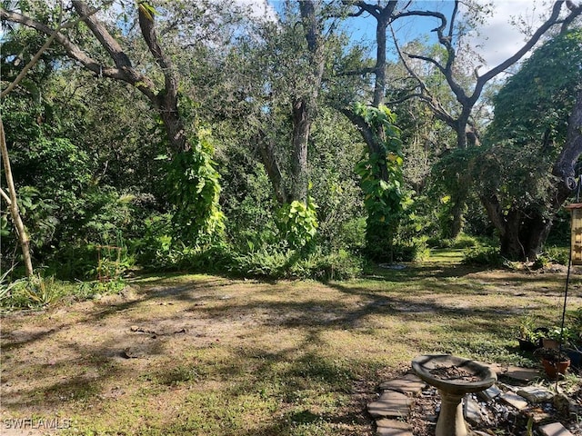 view of landscape