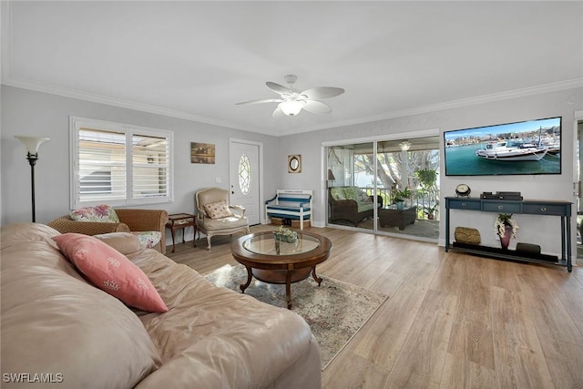 living room with light hardwood / wood-style floors, ornamental molding, and a wealth of natural light