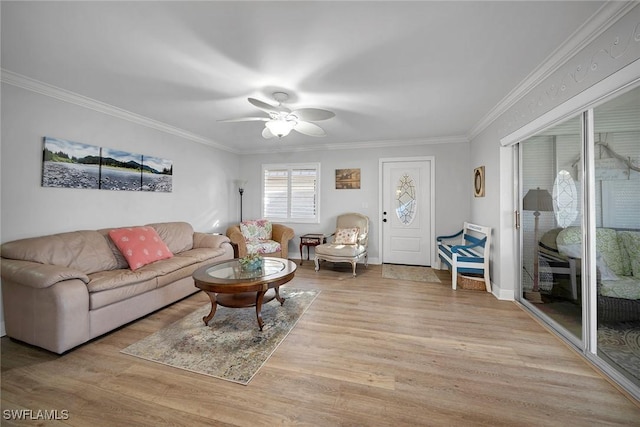 living room featuring ceiling fan, light hardwood / wood-style floors, and crown molding