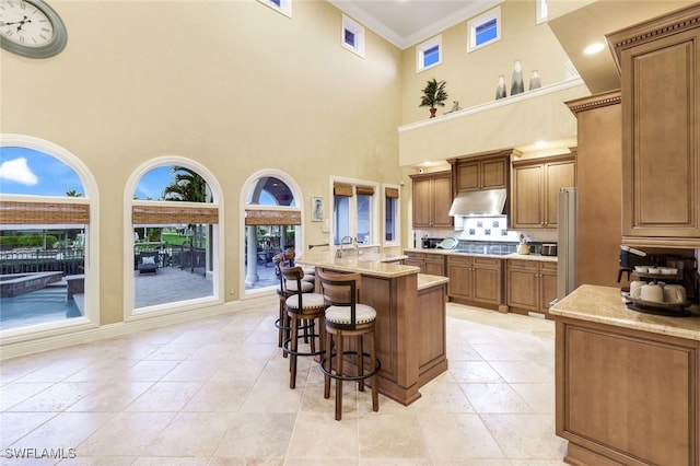 kitchen featuring a high ceiling, a kitchen breakfast bar, light stone counters, crown molding, and a kitchen island with sink