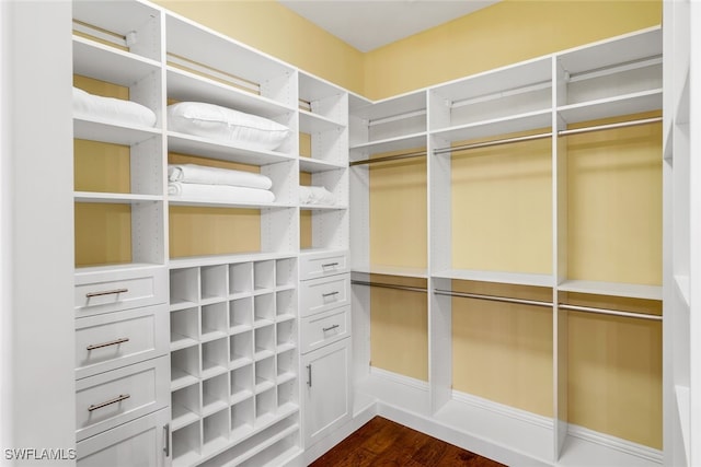 walk in closet with dark wood-type flooring