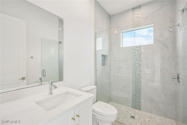 bathroom with vanity, toilet, and a shower with shower door