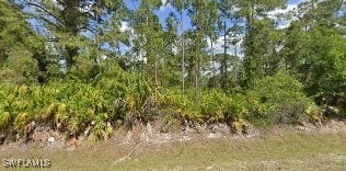 420 Maple Ave N, Lehigh Acres FL, 33972 land for sale