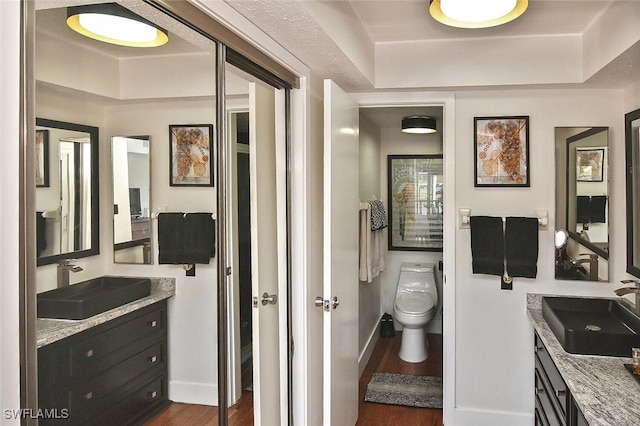 bathroom with a tray ceiling, toilet, vanity, and hardwood / wood-style flooring