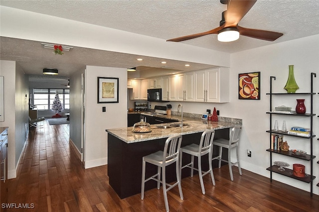 kitchen featuring dark wood finished floors, black microwave, a sink, light stone counters, and range with electric stovetop