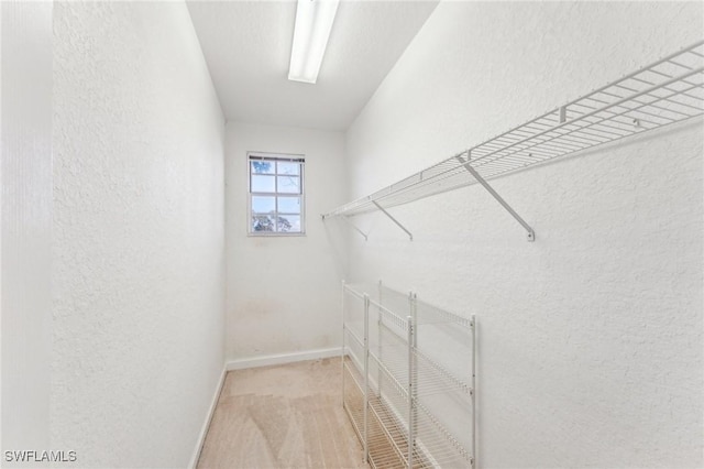 walk in closet featuring light colored carpet