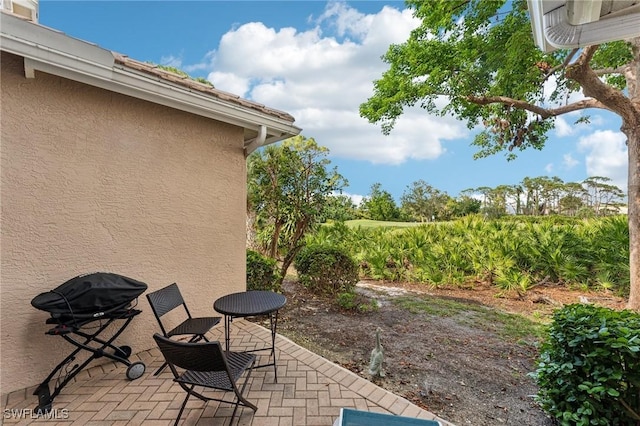 view of patio / terrace with grilling area