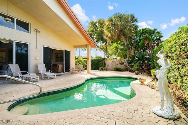 view of swimming pool with a patio area