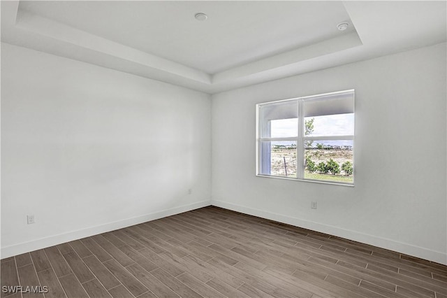 44488 Little Blue Heron Way, Punta Gorda, FL 33982 - unfurnished room with a tray ceiling, dark wood-type flooring, and baseboards