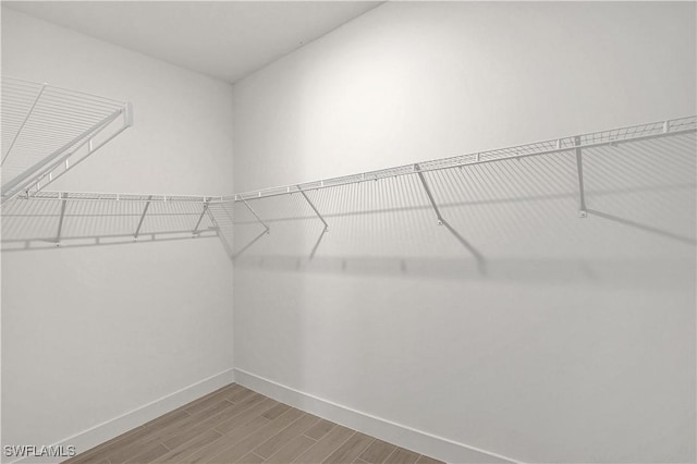 44488 Little Blue Heron Way, Punta Gorda, FL 33982 - spacious closet with wood finished floors