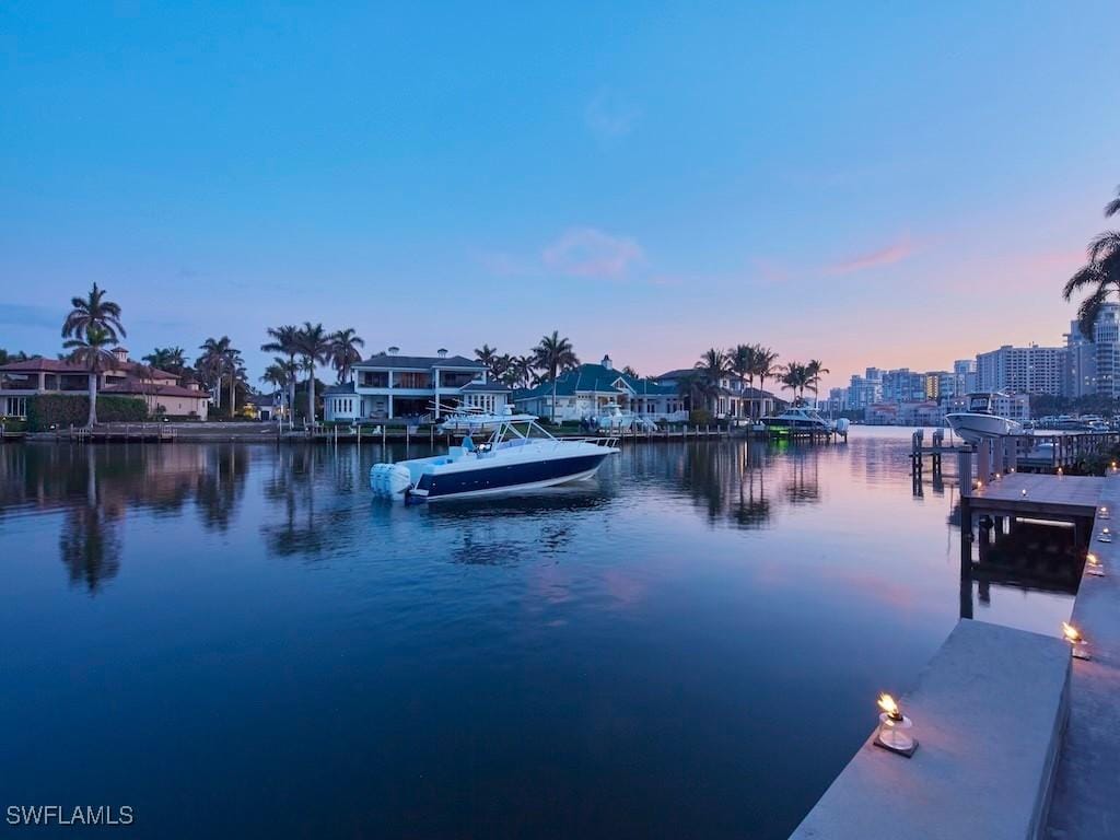 property view of water with a dock