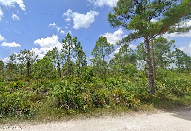 8311 Gewant Blvd, Punta Gorda FL, 33982 land for sale