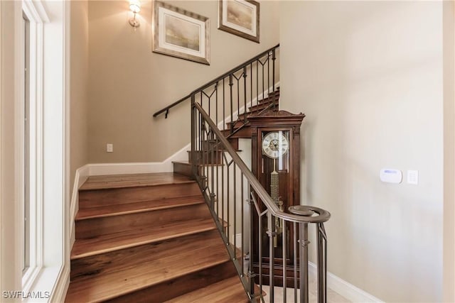 stairway with hardwood / wood-style flooring