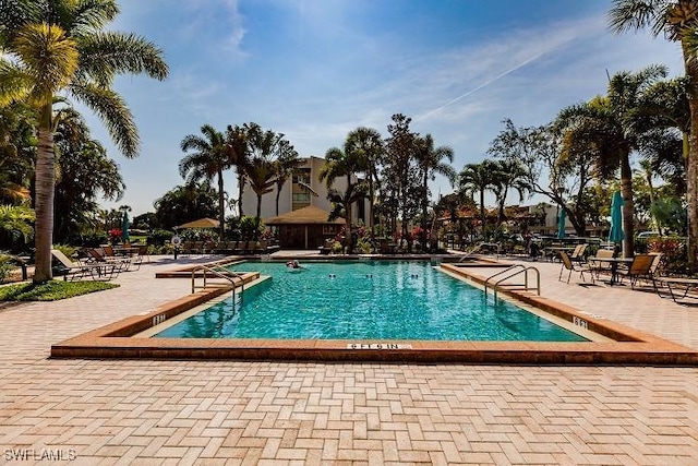 view of swimming pool with a patio area